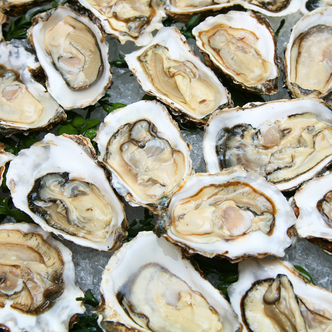 Half Shell Pacific Oysters per Doz